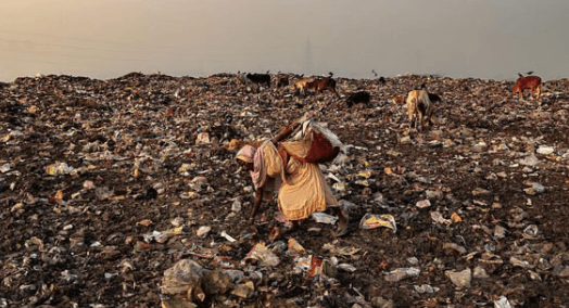 KMC to Set Up Waste Processing Units in Dhapa