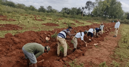Forest Department Reclaims 5.2 Acre Forest Land from BDA