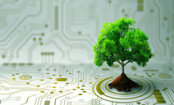 Bridgestone India's Pune Plant Achieves Carbon Neutrality