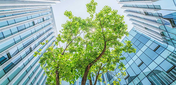 Real Estate Turmoil Poses Risks to Europe's ESG Bond Market