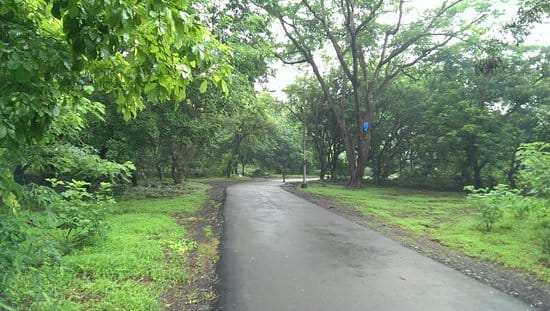 Haunting Tales of Sanjay Gandhi National Park