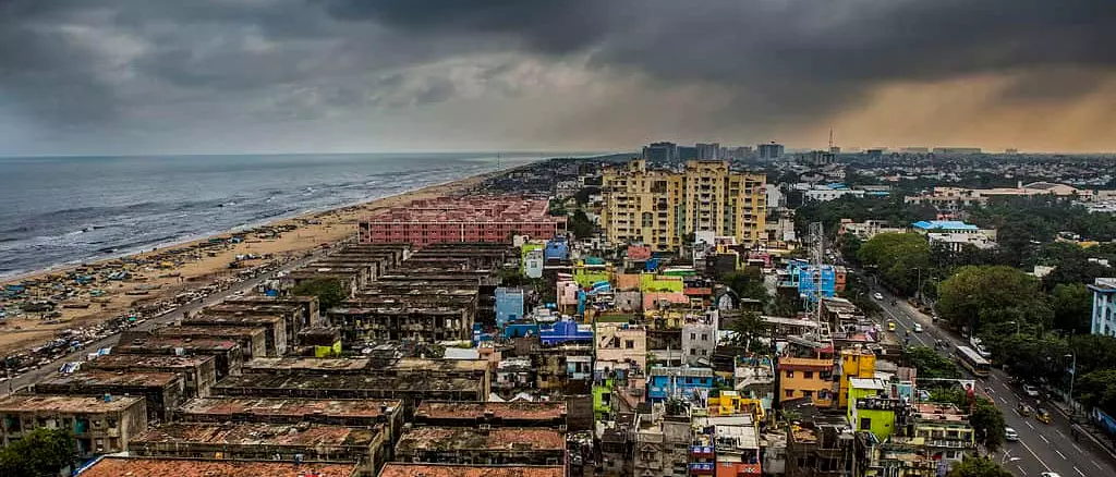 Chennai's Green Warriors Mark 1,000 Days of Climate Action