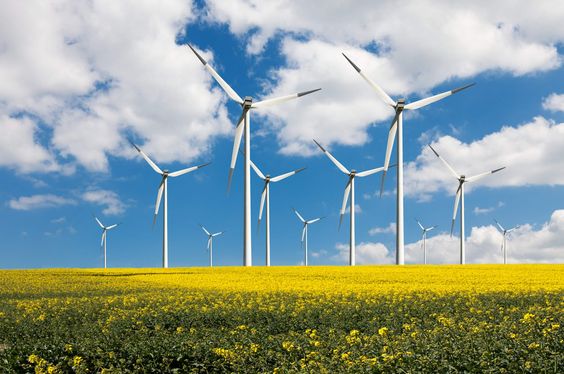 Energy Sector