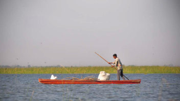 River Odyssey in Gujrat