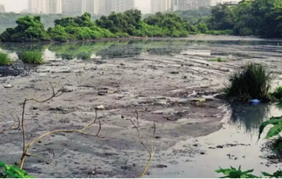 Navi Mumbai Faces Flood Risk Amid Delayed Pond Desilting