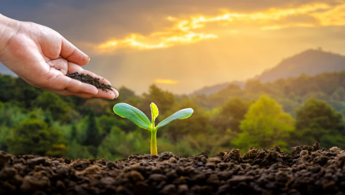 ecological conservation efforts