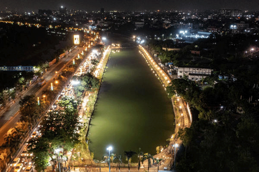 New Biodiversity Parks to Enhance VIP Road
