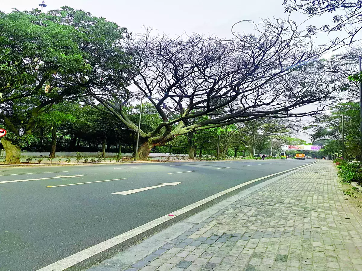 BBMP Launches 'Lite TenderSURE' for Metro Footpaths Redevelopment