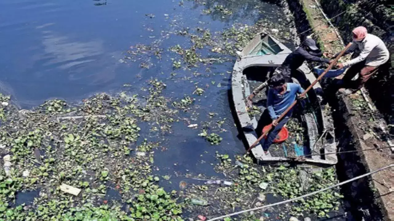 Kochi Shuts Down Two Hotels Over Canal Pollution
