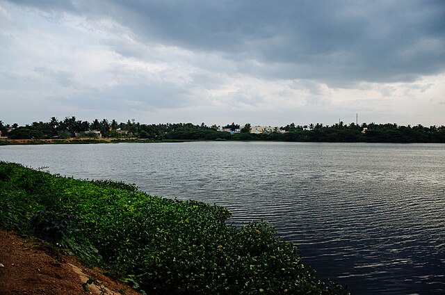 Chennai's Tambaram Initiates Lake Restoration Drive, Seeks Government Support