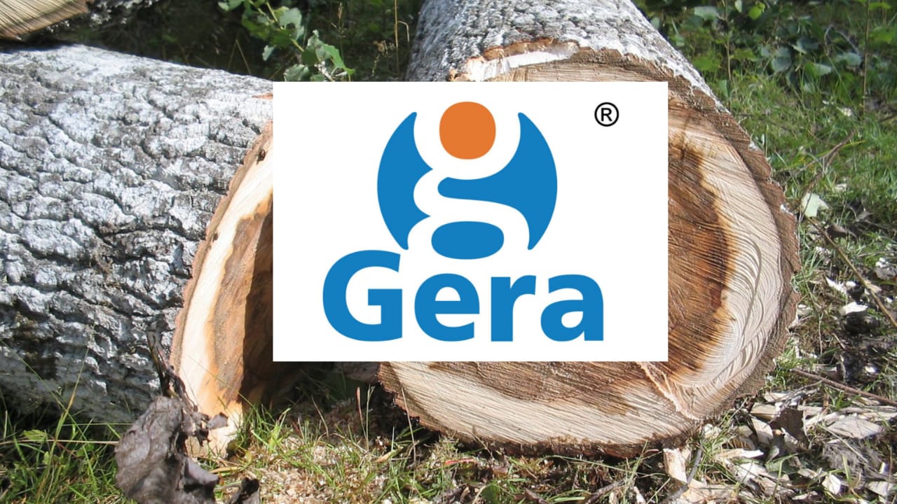 Gera for Illegal Tree Felling