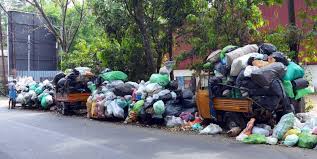 Waste Collection Fee