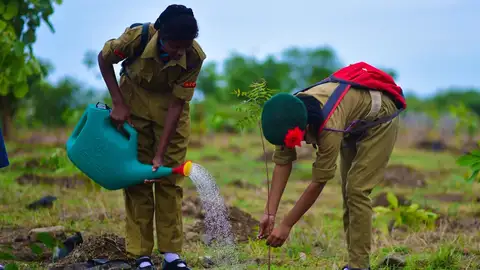 Mission Three Million Trees’ campaign in Ahmedabad