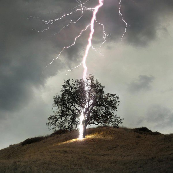 taking shelter under trees during heavy rains and thunderstorms.