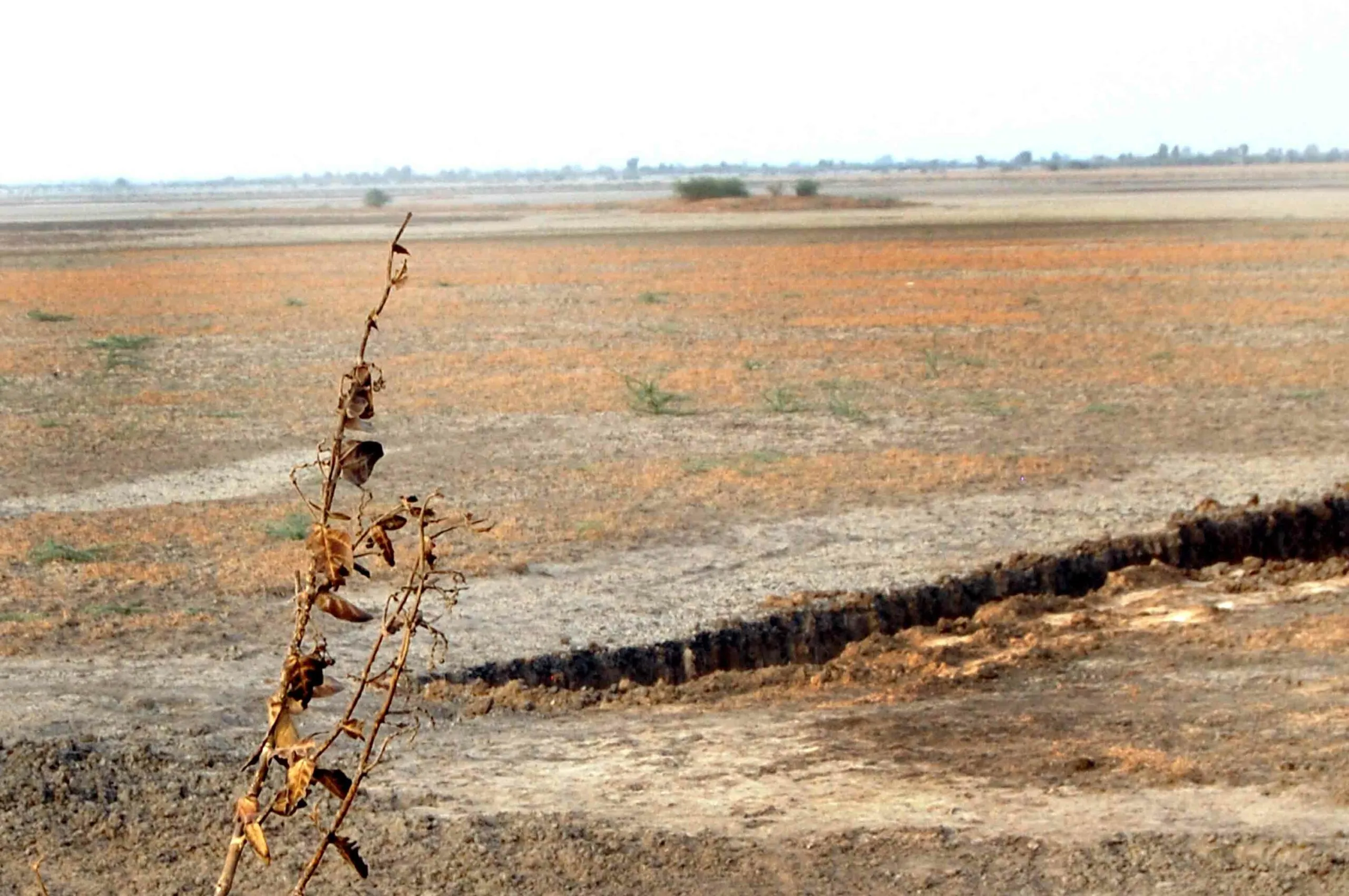 Hyderabad's ₹1,500 Crore Land Dispute Encroachment Sparks Legal Battle