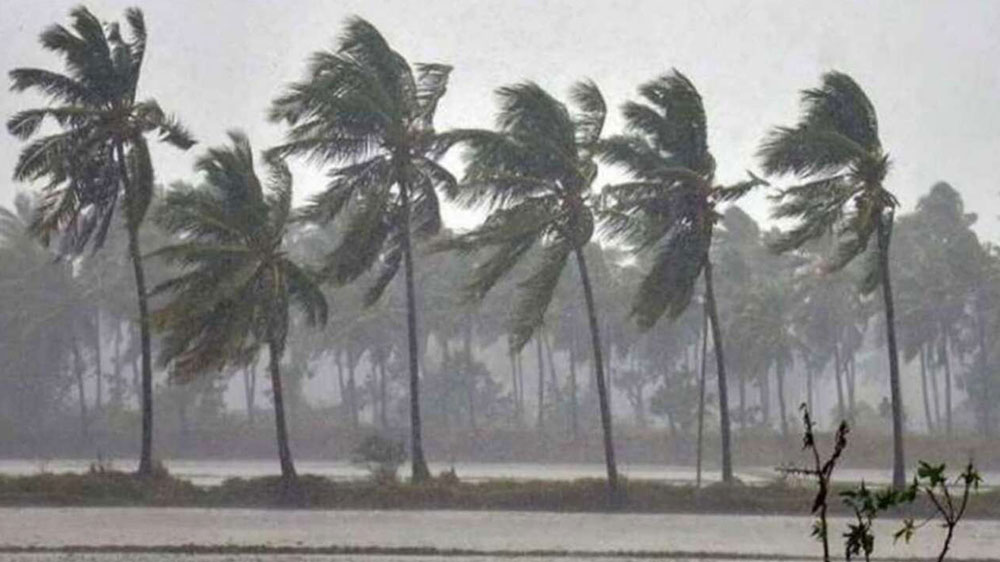 Kerala on Alert Monsoon Wreaks Havoc with Torrential Rain and Wind