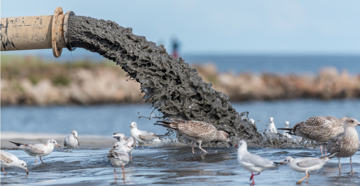 Chronic Sewage Issues Plague