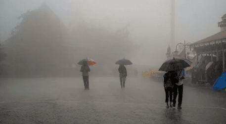Monsoon Dynamics: Pune's Rural vs Urban Rainfall Distribution