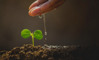 Grundfos Leads Dialogue on Sustainable Water Management