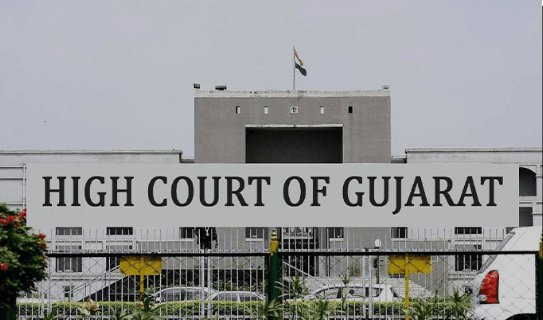 Gujarat High Court Mandates Approval for Gir Railway Gauge Conversion