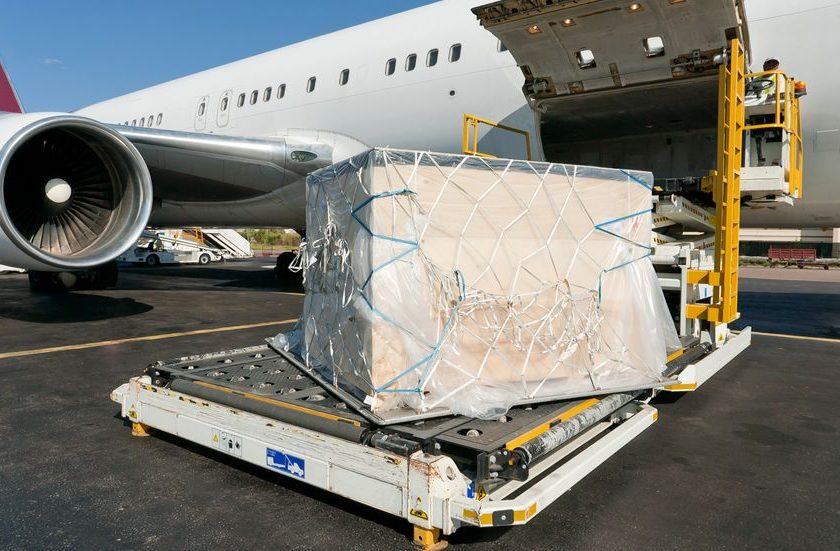 KIA Leads India's Perishable Cargo