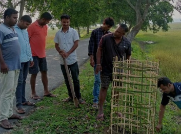 Khumtai 's Constituency Spurs Green Movement with Native Trees