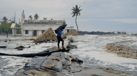 Kochi Islands' Future Threatened by Rapid Shoreline Shifts