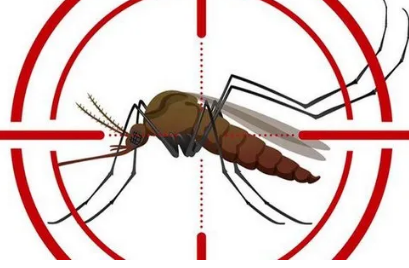 Lucknow Adopts Cold Fogging for Better Mosquito Management