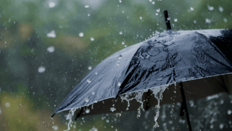 Met Predicts Rain Respite and Cooler Climes for Kolkata