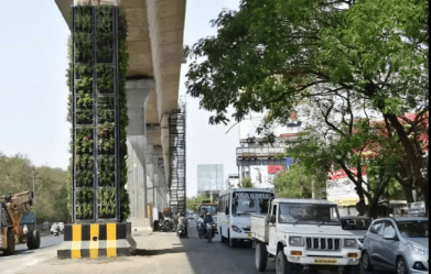 Metro Safety Concerns Prompt Removal of New Town Vertical Gardens