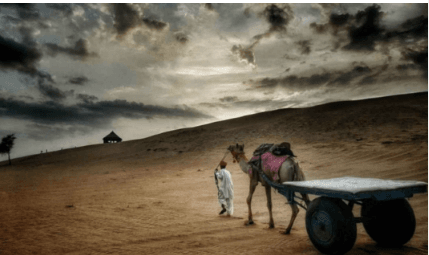 Mixed Weather for Rajasthan dry Spell Until July 19, Monsoon Returns