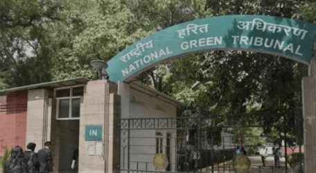 NGT Challenges Haryana Government Over Unregulated Tree Cutting in Gurgaon