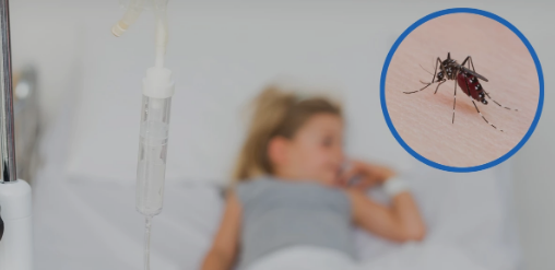 Proactive Measures Urged in High-Risk Areas to Combat Dengue Outbreaks