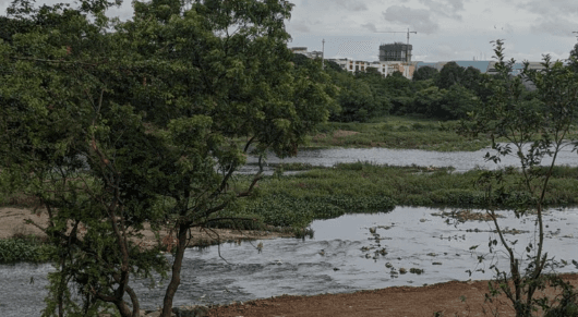 Pune Floodline Review Amid Calls to Halt Riverfront Development