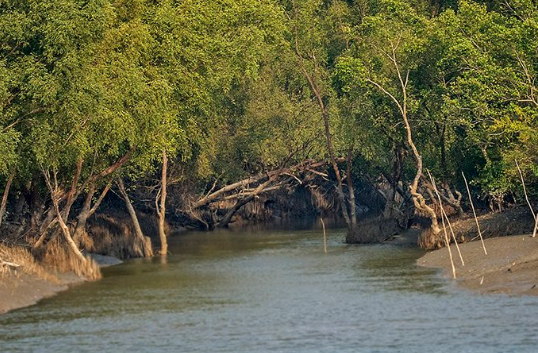 Shela’s Monsoon Woes Persist Despite 13 Lakes