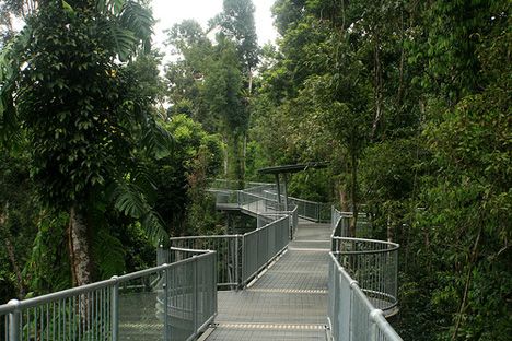 South Mumbai’s Elevated Jungle Walk Nears Completion