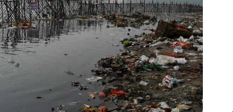 Yamuna Pollution Soars 42 Times in Delhi