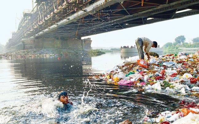 Yamuna's Water Quality Mystery