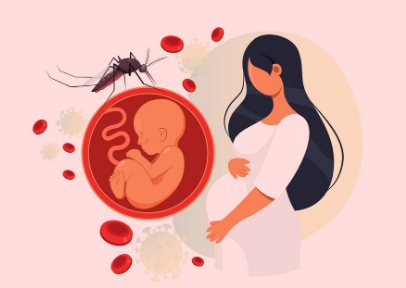 PMC to Screen Pregnant Women for Zika Virus in Affected Areas