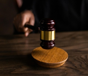 Delhi HC Weighs Petition for High-Level Inquiry