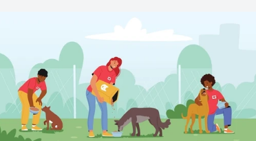 BBMP Introduces Comprehensive Guidelines for Feeding Community Animals