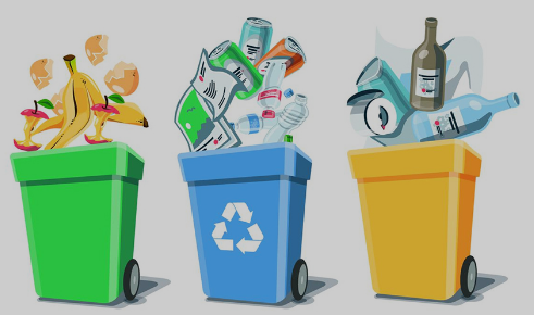 SC Criticises MCD Over Waste Management Failures