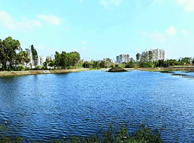 Bengaluru Residents Advocate for Revival of Banaswadi Lake