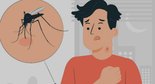 Effective Measures Reduce Dengue in Hyderabad