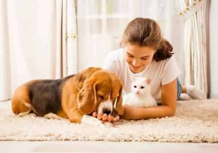 Bengaluru's Pet Rules Big Apartments Pleased, Small Ones Anxious