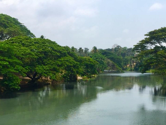 Periyar Pollution Spurs Demand for Surveillance Roads