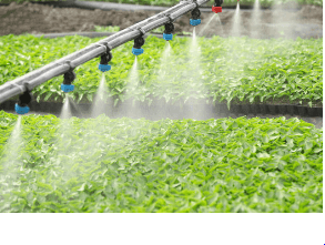 Advanced Cooling Solutions for Indian Farmers