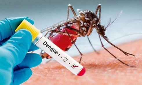 Legal Action on Dengue Surge Karnataka High Court Steps In