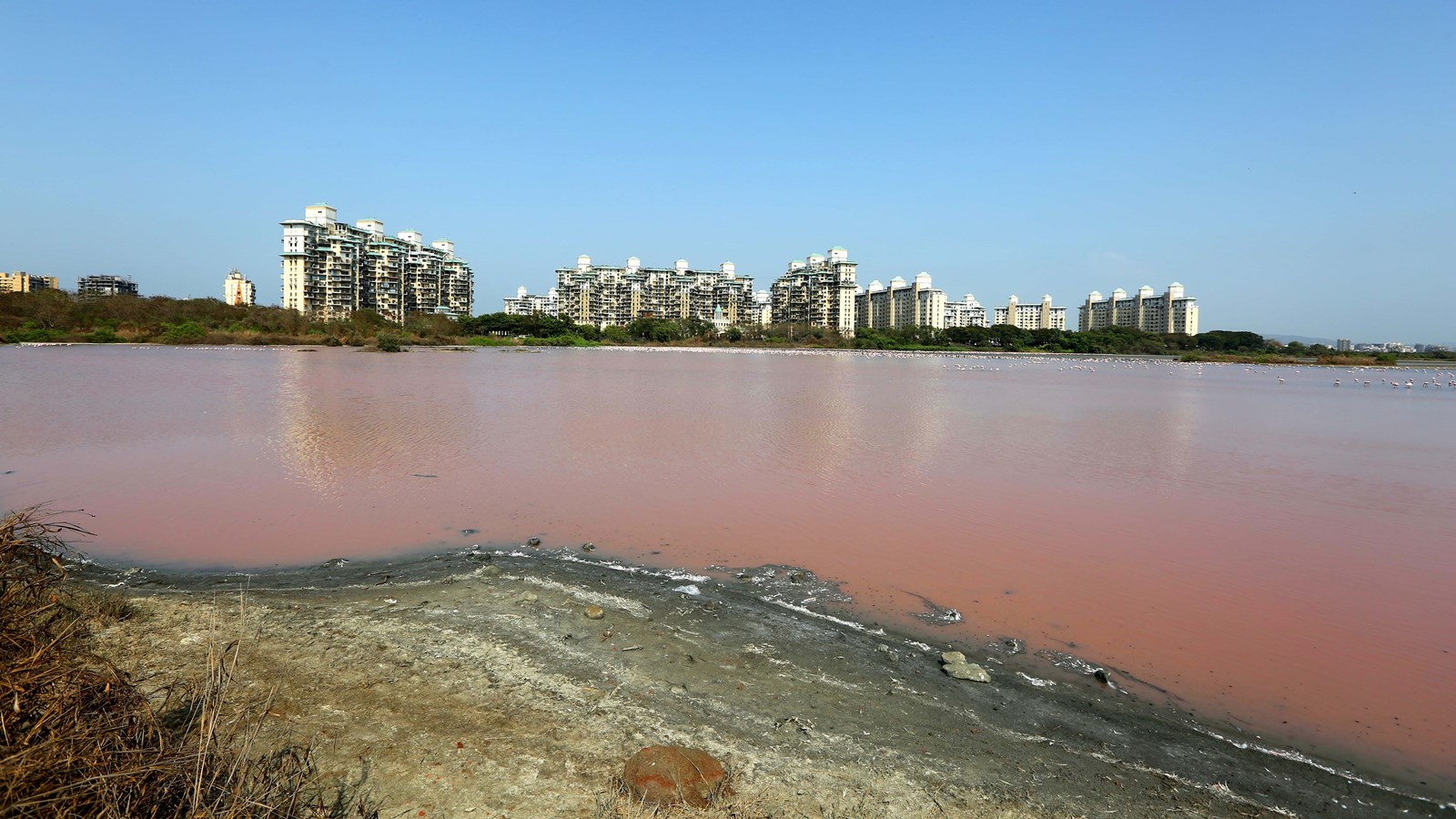 BMC Neglects Key Lakes Desilting for Decade