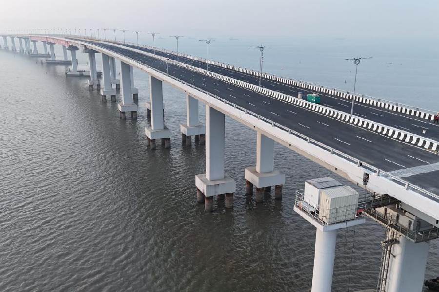 Court to Hear Plea Over Fishing Losses Due to Atal Setu